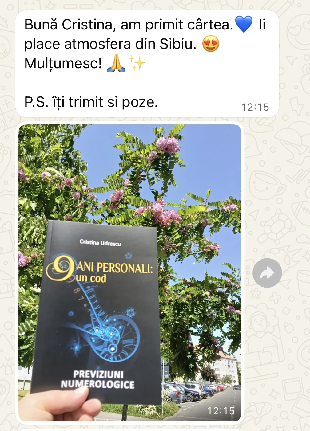 Monica - carte 9 Ani Personali Sibiu